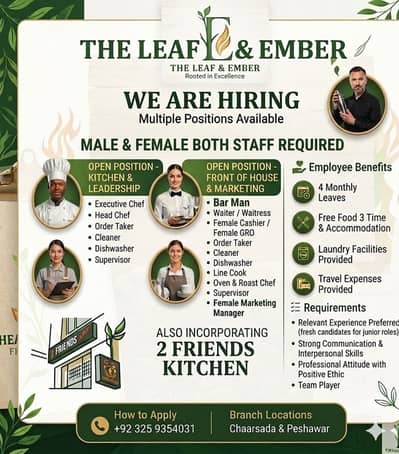 Male / Female / Chef, S upervisor, Waiter, oder taker, Waiters