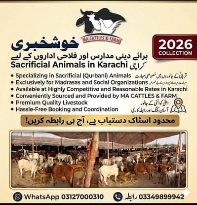 Bulk Quantity Available