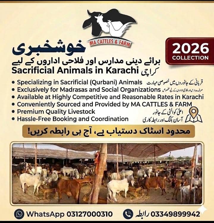 Bulk Quantity Available 0