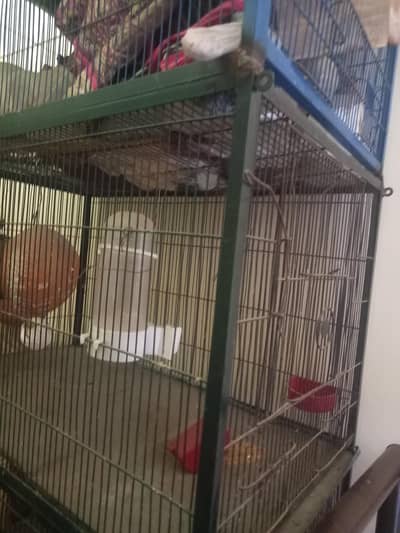 cage for sale