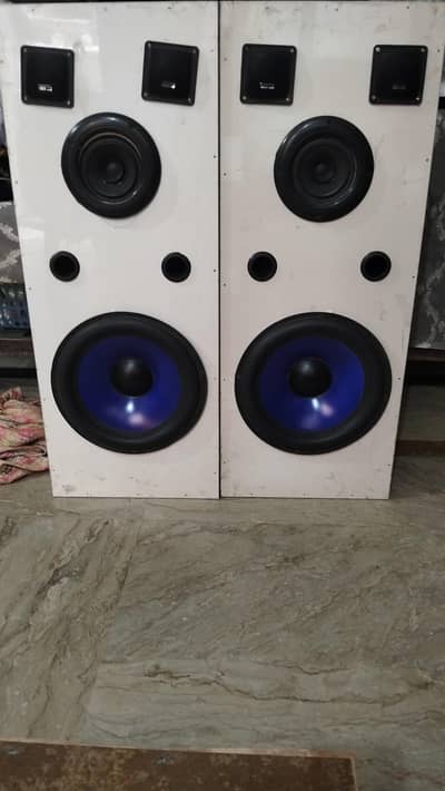speaker 10inch