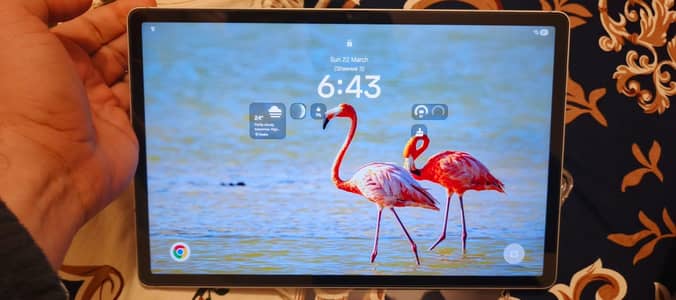 Samsung Tab s9 FE plus Australia Silver