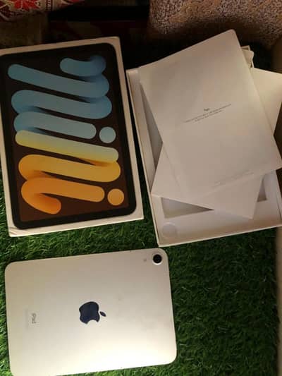 Apple iPad Mini 6