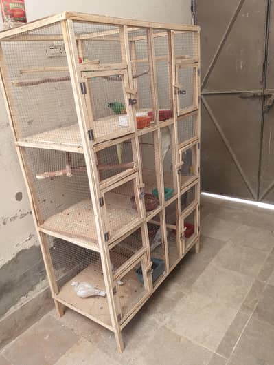 lovebird and dove with wooden cage urgent sale