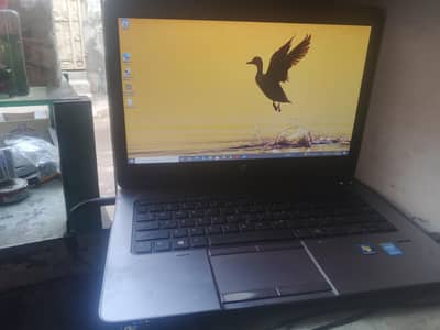 hp laptop probook