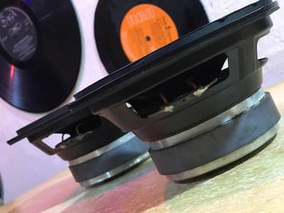 6.5 Inch Woofer Speakers