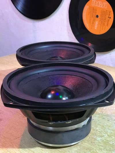 6.5 Inch Woofer Speakers