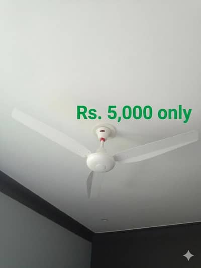 5 Nos Royal & GFC Fans For Sale 10/10