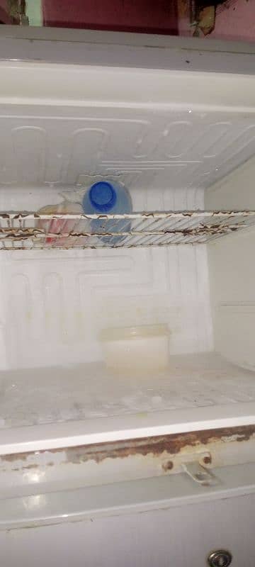 pel company ki frige hai full size ki koi issues nh chal rhi hai