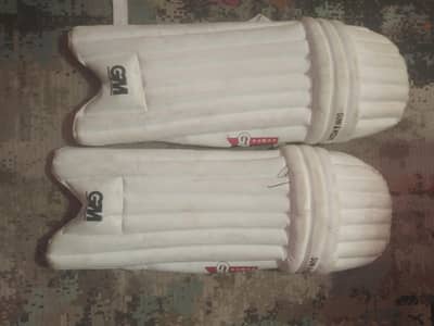Cricket Hardball Pads