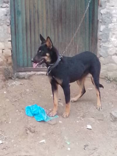 Bht pyari cheez hai Jis ko chayia rabta krein