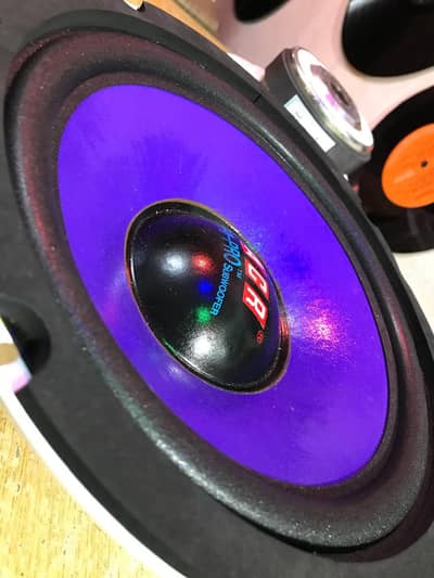 Sound Lab ACR 10 inch woofers made in USA