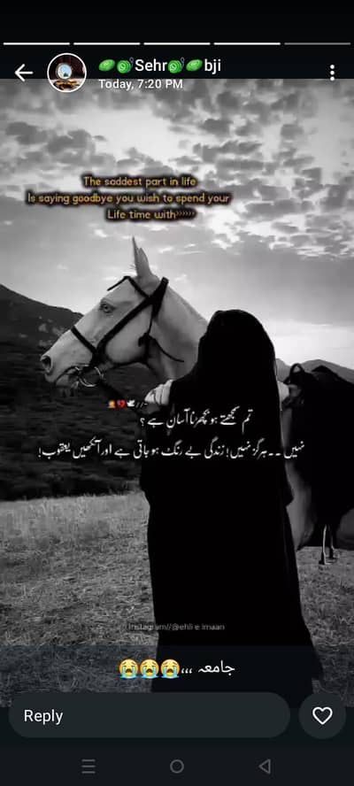 majhe Kam chaye home main