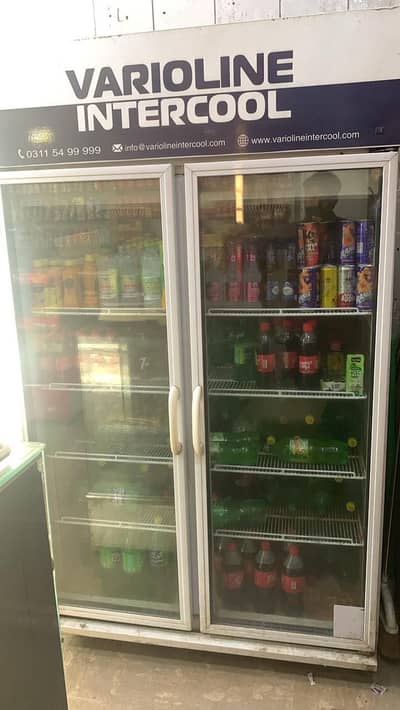 Varioline intercool Double Door Freezer