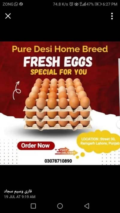 Desi Home Eggs / Eggs for sale