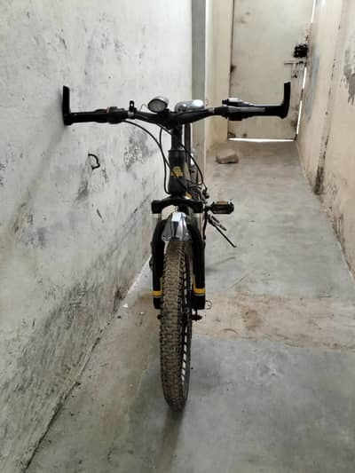 Cobalt Mountain Bike Custom Single-Speed Setup | Dual Disc Brakes