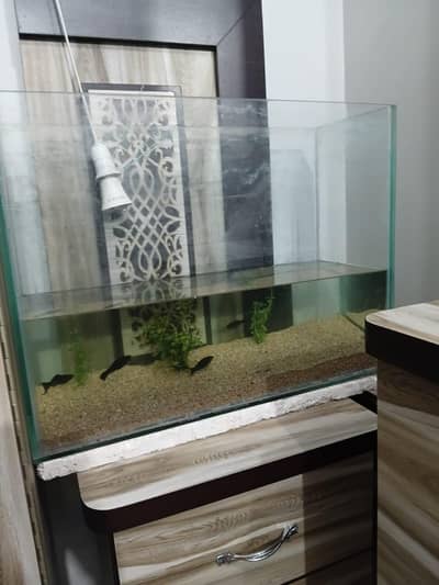 aquarium big size nd heavy gage