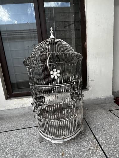 Birds cage