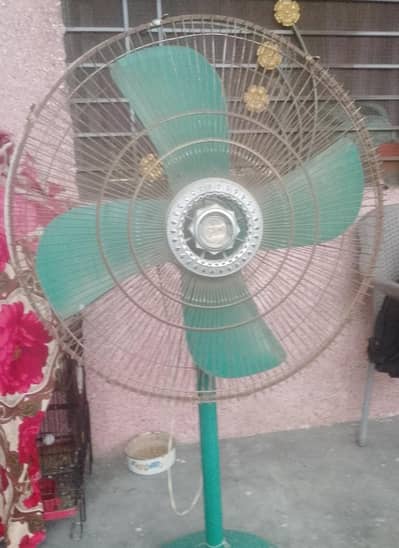 Padetal Fan