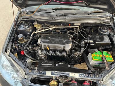 Gli Exchage xli 2011