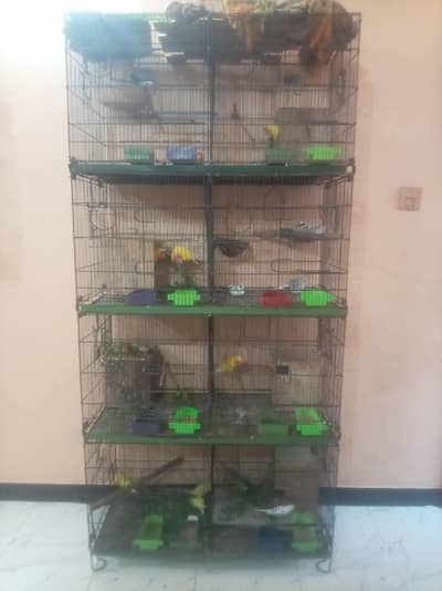 cages for sell