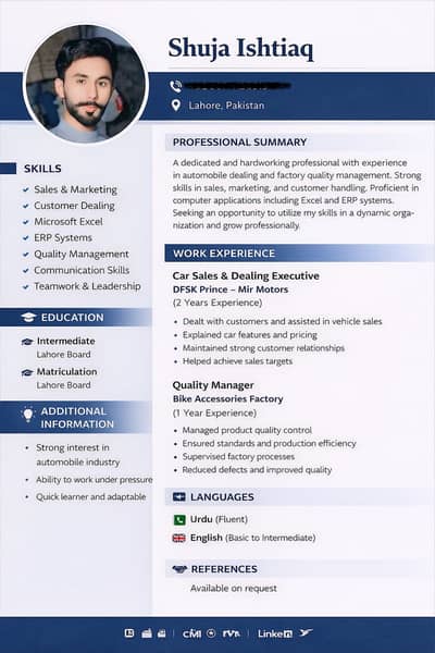 Professional CV create