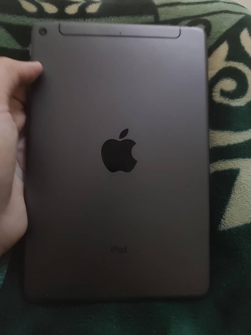 ipad mini 5 0