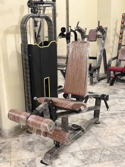 Local Gym Strength  Machines