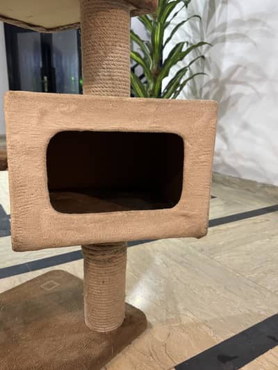 Scratching Post for Cats- Box House Design