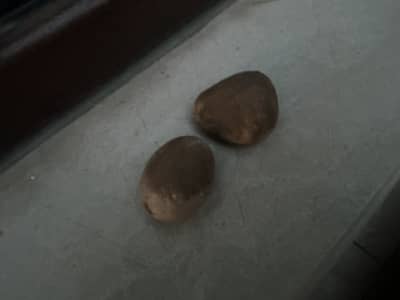 Hand made rocks for home decor