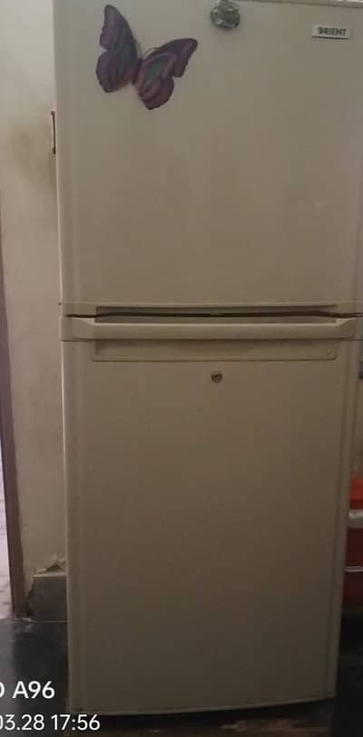 Orient Fridge Double Door