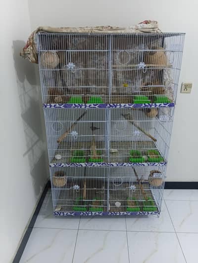 Cage with Finches