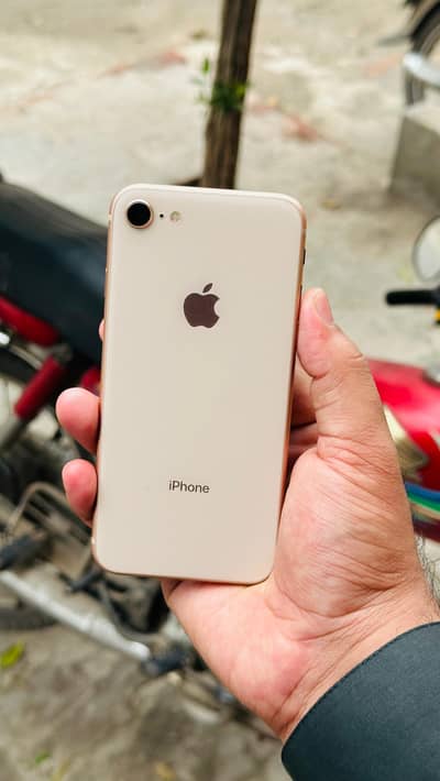 iphone 8 PTA Approved