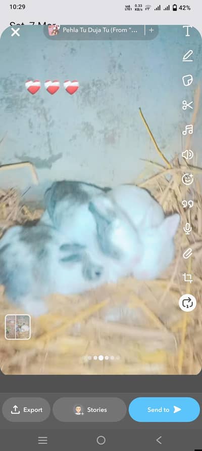 male female dono ha Bhai 2 week k ha