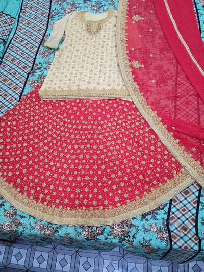 bridle dress complete