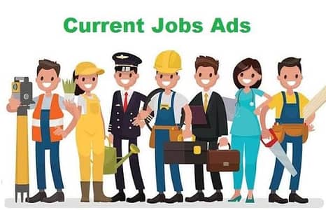 Computer operator job availaible