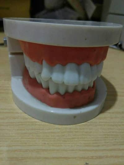 dental treatment