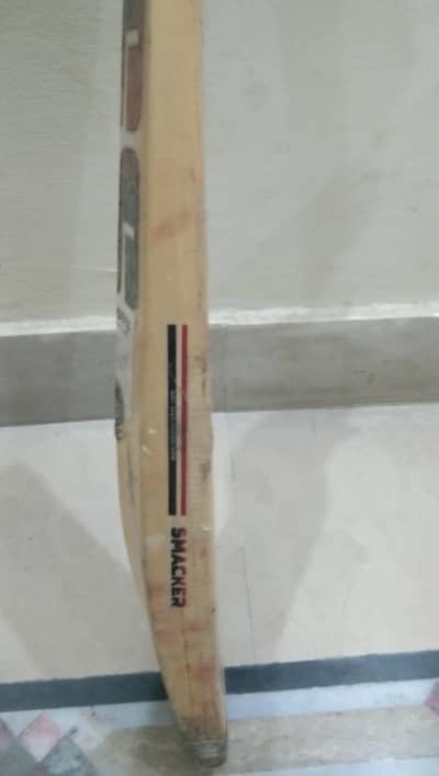 ss ton kashmir willow bat  neet condition