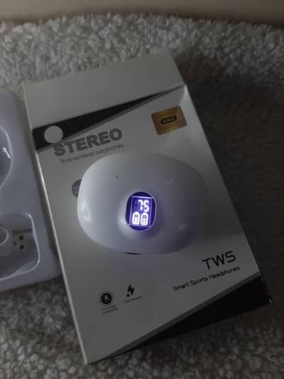 Bluetooth wireless Earbuds fast charging