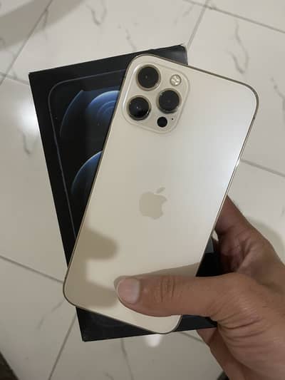 Iphone 12 pro max pta approved