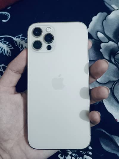 iPhone 12 Pro waterpack