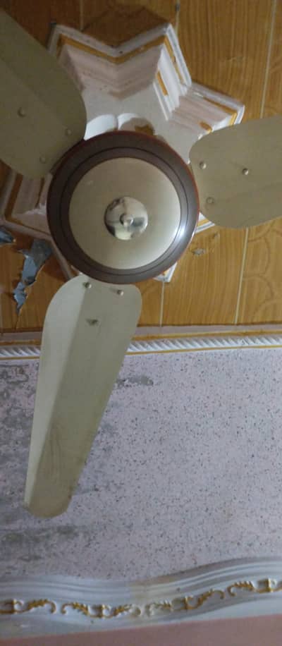 orient fan 220 watt 2 fan