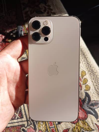iPhone 12 pro Golden colour