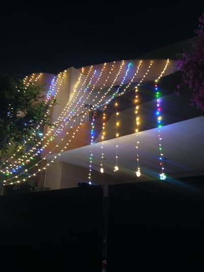 Celebration Lights (Multicolored & Golden)