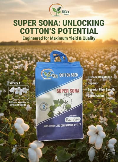 Cotton Seed