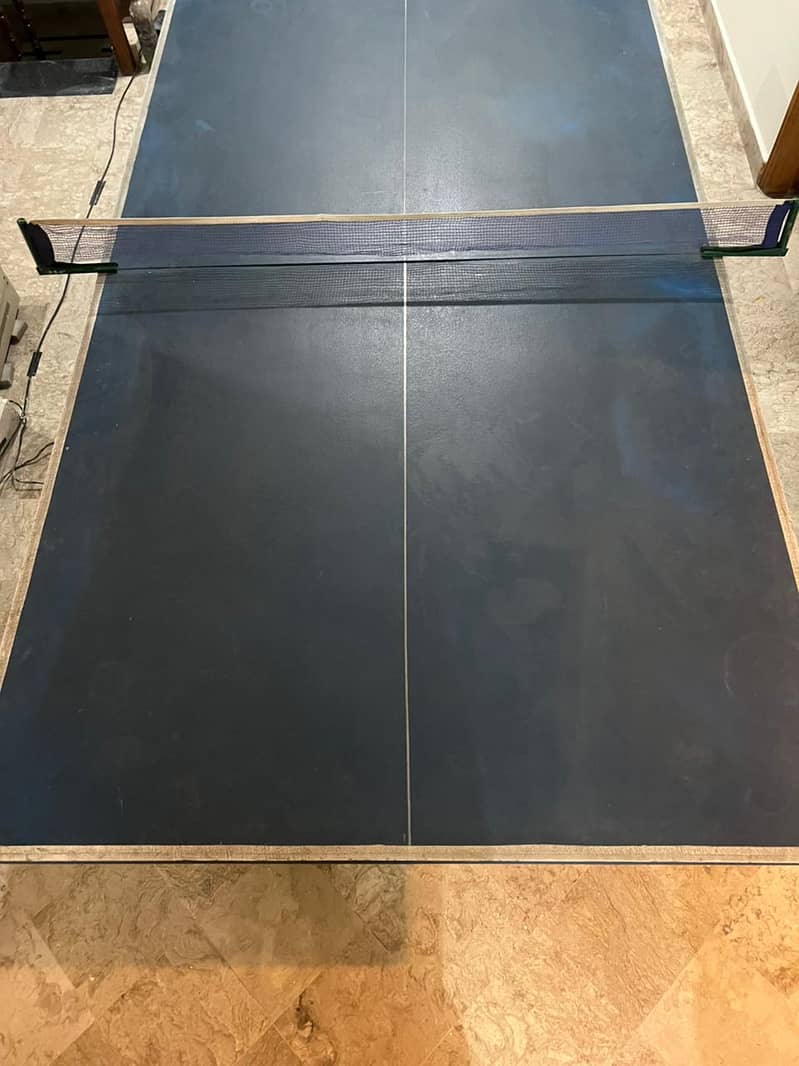 Table Tennis Table 2