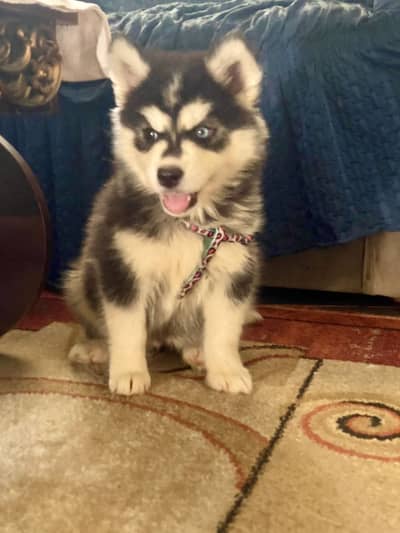 All type bread available