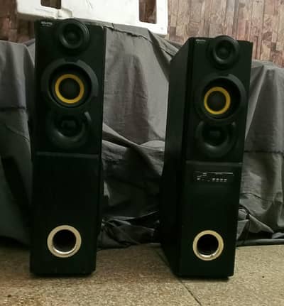 Dual Woofer Speaker System