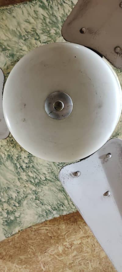 Indus Fans (fix price 4500)