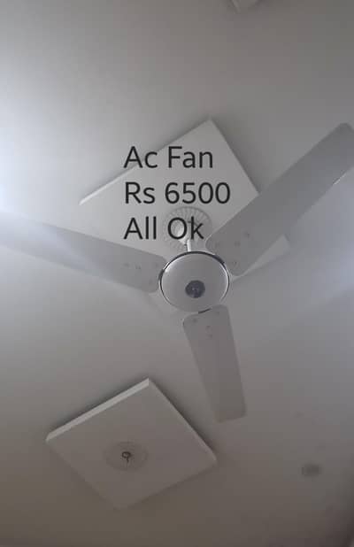 Ac Fans